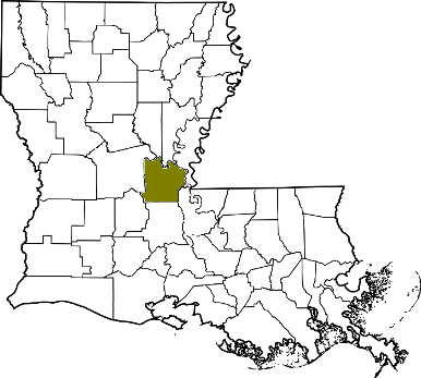 louisiana fire, louisiana firefighters, la firefighters, la fire, louisiana fire department, avoyelles parish, avoyelles parish ems, avoyelles parish fire apparatus, avoyelles parish fire departments