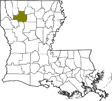 louisiana fire, louisiana firefighters, la firefighters, la fire, louisiana fire department, bienville parish, bienville parish ems, bienville parish fire apparatus, bienville parish fire departments