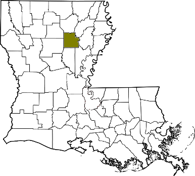 louisiana fire, louisiana firefighters, la firefighters, la fire, louisiana fire department, caldwell parish, caldwell parish ems, caldwell parish fire apparatus, caldwell parish fire departments