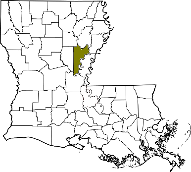 louisiana fire, louisiana firefighters, la firefighters, la fire, louisiana fire department, catahoula parish, catahoula parish ems, catahoula parish fire apparatus, catahoula parish fire departments