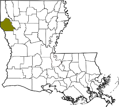 louisiana fire, louisiana firefighters, la firefighters, la fire, louisiana fire department, desoto parish, desoto parish ems, desoto parish fire apparatus, desoto parish fire departments