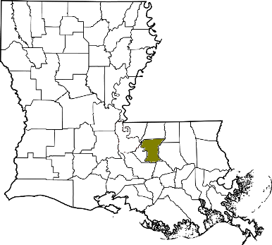 louisiana fire, louisiana firefighters, la firefighters, la fire, louisiana fire department, east baton rouge parish, east baton rouge parish ems, east baton rouge parish fire apparatus, east baton rouge parish fire departments