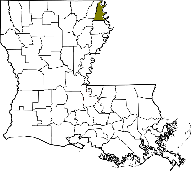 louisiana fire, louisiana firefighters, la firefighters, la fire, louisiana fire department, east carroll parish, east carroll parish ems, east carroll parish fire apparatus, east carroll parish fire departments