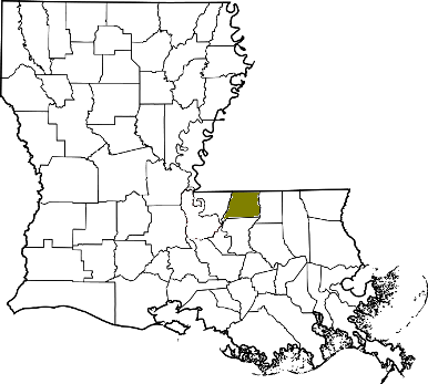 louisiana fire, louisiana firefighters, la firefighters, la fire, louisiana fire department, east feliciana parish, east feliciana parish ems, east feliciana parish fire apparatus, east feliciana parish fire departments