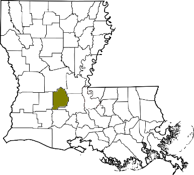louisiana fire, louisiana firefighters, la firefighters, la fire, louisiana fire department, evangeline parish, evangeline parish ems, evangeline parish fire apparatus, evangeline parish fire departments