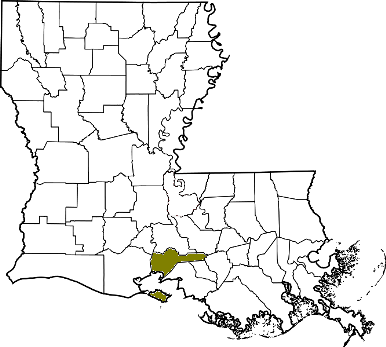 louisiana fire, louisiana firefighters, la firefighters, la fire, louisiana fire department, iberia parish, iberia parish ems, iberia parish fire apparatus, iberia parish fire departments