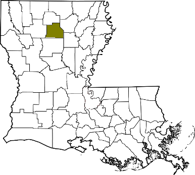 louisiana fire, louisiana firefighters, la firefighters, la fire, louisiana fire department, jackson parish, jackson parish ems, jackson parish fire apparatus, jackson parish fire departments