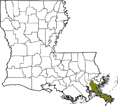 louisiana fire, louisiana firefighters, la firefighters, la fire, louisiana fire department, plaquemines parish, plaquemines ems, plaquemines parish fire apparatus, plaquemines parish fire departments