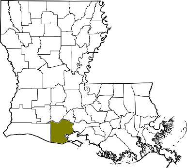 louisiana fire, louisiana firefighters, la firefighters, la fire, louisiana fire department, vermilion parish, vermilion ems, vermilion fire apparatus, vermilion parish fire departments