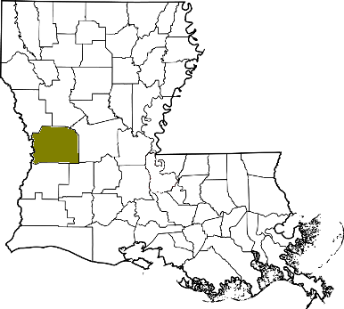 louisiana fire, louisiana firefighters, la firefighters, la fire, louisiana fire department, vernon parish, vernon ems, vernon fire apparatus, vernon parish fire departments