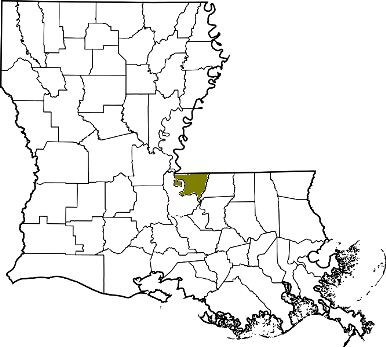 louisiana fire, louisiana firefighters, la firefighters, la fire, louisiana fire department, west feliciana parish, west feliciana ems, west feliciana fire apparatus, west feliciana parish fire departments
